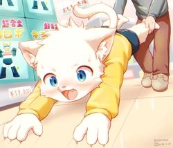 Size: 2048x1749 | Tagged: safe, artist:piporinton, cat, felid, mammal, adult, adult/cub, adult/young, anthro, anthro/anthro, boy, cub, male, male/male, males only, man, man/boy, plantigrade, young, 2022, age difference, blue eyes, blushing, claws, fully clothed, fur, indoors, kemono, kemoshota, shoes, shorts, store, sweat, toy store, whiskers, white fur
