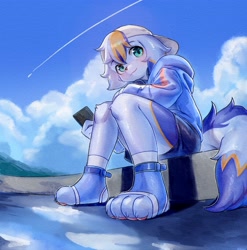 Size: 3561x3600 | Tagged: safe, artist:xiao langao, oc:xiao langao, canid, dog, mammal, anthro, boy, cub, male, plantigrade, solo boy, solo cub, solo male, young, 4 toes, blue fur, blue hair, clothing, cloud, detailed background, fully clothed, fur, green eyes, hoodie, low-angle view, mobile phone, orange fur, sky, socks, socks without shoes, solo, tail, toe claws, white fur