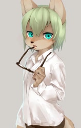 Size: 1077x1701 | Tagged: safe, artist:kuroisumi, canid, mammal, anthro, boy, cub, male, solo boy, solo cub, solo male, young, colored, digital, fully shaded, blonde hair, blushing, dress shirt, fully clothed, fur, glasses, hair, kemono, kemoshota, looking at you, solo, tail, teal eyes