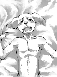 Size: 1200x1600 | Tagged: suggestive, artist:shirako, canid, dog, labrador, mammal, anthro, boy, male, slender, solo boy, solo male, solo teen, teen, twink, young, sketch, fur, gripping sheets, lying, navel, off-screen character, sharp teeth, solo, sweat