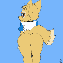 Size: 1000x1000 | Tagged: suggestive, artist:bubbleglass, zabivaka, canid, mammal, wolf, anthro, boy, cub, male, solo boy, solo cub, solo male, young, fifa, mascot, 2d animation, animation, colored, flat colored, loop, 2016, blue eyes, bottomless, butt, clothing, fur, goggles, goggles over eyes, looking at you, looking back, looking back at you, looking over shoulder, presenting, soccer uniform, solo, sports uniform, tail, wagging tail