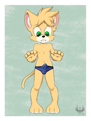 Size: 1125x1500 | Tagged: suggestive, artist:diman, oc:sammy stowes, cat, felid, feline, mammal, anthro, boy, cub, male, plantigrade, solo boy, solo cub, solo male, young, cel shaded, colored, digital, 2014, briefs, bulge, clothing, embarrassed, erection, erection under clothing, fingers, fur, green eyes, nipples, shoes, sneakers, solo, topless, underwear, yellow fur