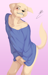 Size: 3551x5567 | Tagged: safe, artist:raccoon douglas, canid, dog, labrador, mammal, anthro, boy, femboy, male, slender, solo boy, solo male, solo teen, teen, twink, young, black nose, blue shirt, bottomless, butt, clothing, fur, one eye closed, oversized clothing, posing, raised tail, smiling, solo, tail, teeth, winking