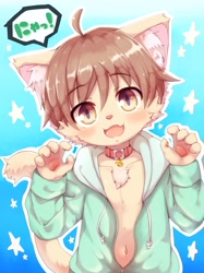 Size: 1535x2048 | Tagged: safe, artist:kasasagi, cat, felid, mammal, anthro, boy, cub, male, solo boy, solo cub, solo male, young, colored, digital, fully shaded, blushing, brown eyes, clothing, collar, hoodie, kemono, kemoshota, looking at you, navel, smiling, smiling at you, solo