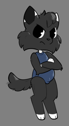 Size: 607x1111 | Tagged: suggestive, artist:catboyjail, canid, mammal, wolf, anthro, boy, cub, male, solo boy, solo cub, solo male, young, colored, digital, flat colored, bulge, clothing, fur, one-piece swimsuit, solo, swimsuit, swimwear