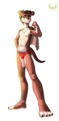 Size: 831x1700 | Tagged: safe, artist:diman, canid, dog, mammal, anthro, boy, cub, male, solo boy, solo cub, solo male, young, colored, digital, fully shaded, 2017, bulge, clothing, green eyes, jewelry, necklace, nipples, pecs, solo, speedo, swimsuit, topless, towel