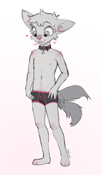 Size: 782x1340 | Tagged: safe, artist:cinder roo, arctic fox, canid, fox, mammal, vulpine, anthro, boy, cub, male, solo boy, solo cub, solo male, young, colored, digital, flat colored, sketch, boxer-briefs, clothing, fur, multiple tails, nipples, solo, tail, topless, underwear, undressing, undressing self