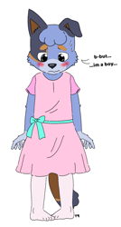 Size: 876x1629 | Tagged: safe, artist:t9, stripe heeler, australian cattle dog, canid, dog, mammal, anthro, boy, cub, male, plantigrade, solo boy, solo cub, solo male, young, bluey, colored, digital, flat colored, blushing, crossdressing, dress, fur, humanoid feet, solo