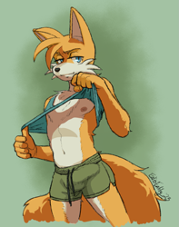 Size: 975x1240 | Tagged: suggestive, artist:enlisentity, miles prower, canid, fox, hedgehog, kitsune, mammal, rodent, anthro, boy, male, slender, solo boy, solo male, solo teen, teen, twink, young, sonic series, cel shaded, colored, digital, 2023, blue eyes, bulge, clothing, detailed bulge, fur, looking at you, navel, nipples, orange fur, shirt lift, shorts, smirk, solo, tail, undressing, undressing self, white fur