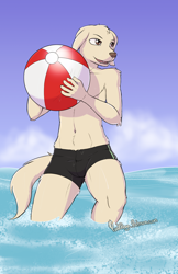 Size: 1200x1855 | Tagged: safe, artist:punkpega, jack (beastars), canid, dog, labrador, mammal, anthro, boy, male, slender, solo boy, solo male, solo teen, teen, twink, young, beastars, cel shaded, colored, digital, ball, beach ball, bulge, clothing, ears, floppy ears, fur, navel, ocean, open mouth, outdoors, signature, solo, standing, standing in water, swimsuit, tail, tail fluff, teeth, topless, water, wet