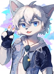 Size: 1280x1772 | Tagged: artist needed, safe, oc:coke (colawolf7), canid, mammal, wolf, anthro, boy, cub, male, solo boy, solo cub, solo male, young, cel shaded, colored, digital, blep, blue eyes, fang, fingerless gloves, fur, hair, kemono, kemoshota, looking at you, portrait, solo, teeth, tongue, tongue out, v sign, white fur, white hair