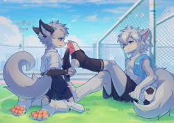 Size: 2048x1448 | Tagged: artist needed, safe, oc:coke (colawolf7), canid, mammal, wolf, anthro, anthro/anthro, boy, boys only, cub, cubs only, male, males only, plantigrade, young, blue eyes, blushing, clothing, duo, foot focus, fur, gray fur, gray hair, kemono, kemoshota, looking at another, looking at foot, outdoors, pawpads, shorts, soccer ball, soccer field, socks, sports, topless, white fur