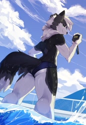 Size: 1229x1779 | Tagged: safe, artist:hakkids2, oc only, oc:jano, border collie, canid, collie, dog, mammal, anthro, boy, male, slender, solo boy, solo male, solo teen, teen, twink, young, digital, 2024, black nose, butt, detailed background, ears, fur, hair, looking at you, looking back, looking back at you, looking down, looking down at you, looking over shoulder, partially submerged, rear view, solo, speedo, stopwatch, swimming pool, swimsuit, tail, wet