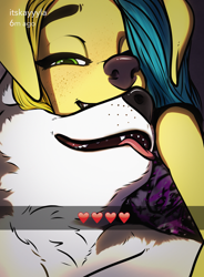 Size: 2340x3180 | Tagged: safe, artist:grimdank, oc:argos (grimdank), oc:kayla (grimdank), alaskan malamute, canid, dog, golden retriever, mammal, anthro, anthro/feral, cub, female, feral, male, male/female, teen, young, blep, cuddling, duo, fang, fur, romantic, selfie, snapchat, teeth, tongue out