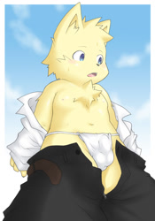 Size: 700x1000 | Tagged: suggestive, artist:nama_ride, cat, felid, mammal, anthro, boy, chubby, cub, male, solo boy, solo cub, solo male, young, digital, blue eyes, bulge, fundoshi, fur, kemono, kemoshota, navel, nipples, open shirt, solo, undressing, undressing self