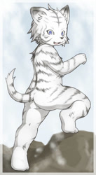 Size: 547x1000 | Tagged: safe, artist:nama_ride, big cat, felid, mammal, tiger, anthro, boy, cub, male, solo boy, solo cub, solo male, young, butt, fur, kemono, kemoshota, nudity, purple eyes, solo, stripes, tail, white fur