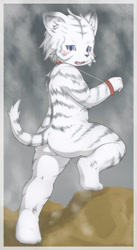 Size: 547x1000 | Tagged: suggestive, artist:nama_ride, big cat, felid, mammal, tiger, anthro, boy, cub, male, solo boy, solo cub, solo male, young, alternate version, blushing, bondage, butt, fur, kemono, kemoshota, nudity, purple eyes, solo, stripes, tail, white fur