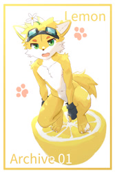 Size: 682x1024 | Tagged: safe, artist:astorbt, oc:lemon, canid, fox, mammal, anthro, boy, cub, male, solo boy, solo cub, solo male, young, arm in front, arms down, crouching, featureless crotch, fur, goggles, kemono, navel, nipples, nudity, solo