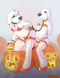 Size: 850x1100 | Tagged: safe, artist:sethiova, brian griffin, jasper, canid, dog, labrador, mammal, anthro, anthro/anthro, boy, boy/boy, boys only, chibi, femboy, male, male/male, males only, plantigrade, teens only, young, young/young, family guy, halloween, alternate version, 2010, bikini, blushing, bulge, clenched teeth, collar, cousin/cousin, cousins, crossdressing, duo, earring, fishnet, fur, garter belt, high heels, incest, jackolantern, leash, looking at you, stockings, teeth, white fur