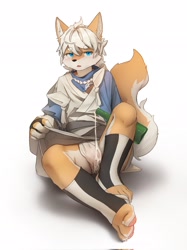 Size: 1535x2048 | Tagged: suggestive, artist:timothy_furry, canid, mammal, boy, cub, male, solo boy, solo cub, solo male, young, alcohol, blue eyes, blushing, bulge, embarrassed, fundoshi, fur, hair, kemono, kemoshota, orange fur, sake, solo, tail, toeless socks, undressing, undressing self, white fur