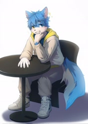 Size: 1448x2048 | Tagged: safe, artist:timothy_furry, anthro, boy, cub, male, slender, solo boy, solo male, solo teen, teen, twink, young, digital, blushing, chair, clothing, jacket, kemono, kemoshota, looking at you, on chair, sitting, smiling, smiling at you, solo, table