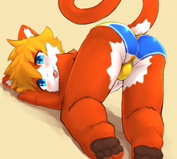 Size: 1466x1320 | Tagged: safe, artist:rainichi, cat, felid, mammal, anthro, boy, chibi, cub, male, solo boy, solo cub, solo male, young, blep, blonde hair, blue eyes, blushing, bulge, butt, clothing, fur, hair, kemono, kemoshota, pawpads, paws, presenting, rear view, red fur, solo, tongue out, underwear, white fur