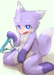 Size: 1252x1726 | Tagged: safe, artist:rainichi, canid, mammal, anthro, cub, male, young, blue eyes, blushing, briefs, clothing, embarrassed, fur, kemono, kemoshota, open mouth, purple fur, solo, underwear, undressing, white fur