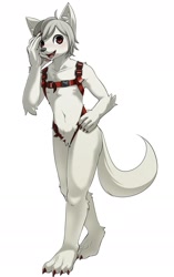 Size: 1126x1793 | Tagged: safe, artist:yamori, canid, mammal, anthro, boy, cub, male, plantigrade, slender, solo boy, solo male, solo teen, teen, twink, young, series:juzan dogsled club, blushing, brown eyes, fur, harness, kemono, kemoshota, open mouth, smiling, solo, tail, toe claws, white fur