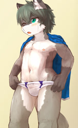 Size: 1134x1868 | Tagged: suggestive, artist:rainichi, canid, mammal, anthro, boy, cub, male, solo boy, solo cub, solo male, young, blushing, briefs, bulge, clothing, fur, green eyes, hair, kemono, kemoshota, navel, nipples, one eye closed, pubes, solo, standing, swimwear, towel, underwear, undressing, undressing self, wet