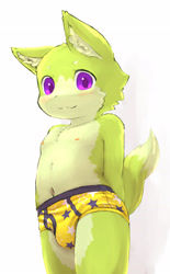 Size: 1822x2940 | Tagged: safe, artist:rainichi, canid, dog, mammal, anthro, boy, cub, male, solo boy, solo cub, solo male, young, arms behind back, briefs, bulge, clothing, dipstick tail, fur, green fur, kemono, kemoshota, looking at you, navel, nipples, pattern briefs, pupils, purple eyes, solo, standing, star print, tail, topless, underwear, yellow fur