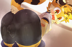 Size: 2385x1566 | Tagged: suggestive, artist:rainichi, big cat, felid, mammal, tiger, anthro, boy, cub, male, solo boy, solo cub, solo male, young, bandage, bent over, blushing, bulge, bulge from behind, butt, cheek tuft, clothing, fur, kemono, kemoshota, open mouth, orange fur, presenting, presenting hindquarters, pupils, rear view, shorts, slit pupils, solo, spandex, spats, striped tail, stripes, sweat, tail, tight clothing, white fur