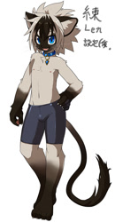 Size: 469x900 | Tagged: safe, artist:rrtt, oc:len (rrtt), cat, felid, mammal, siamese, anthro, boy, cub, male, solo boy, solo cub, solo male, young, cel shaded, blue eyes, bulge, clothing, collar, kemono, kemoshota, looking at you, nipples, smiling, solo, spats, tail, topless