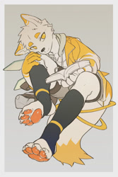 Size: 1200x1800 | Tagged: safe, artist:juo112, canid, fox, mammal, anthro, boy, cub, male, solo boy, solo cub, solo male, young, digital, limited palette, book, clothing, dipstick tail, fur, hoodie, kemono, kemoshota, pawpads, shorts, solo, stockings, tail, white fur, yellow eyes