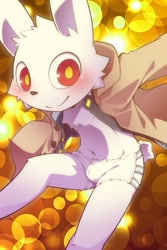 Size: 667x1000 | Tagged: safe, artist:koogami, anthro, boy, cub, male, solo boy, solo cub, solo male, young, blushing, bulge, clothing, jacket, kemono, kemoshota, looking at you, navel, open jacket, red eyes, smiling, smiling at you, solo, underwear
