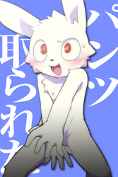 Size: 667x1000 | Tagged: safe, artist:koogami, lagomorph, mammal, rabbit, anthro, boy, cub, male, solo boy, solo male, young, blushing, embarrassed, fur, kemono, kemoshota, nudity, open mouth, red eyes, smiling, solo, white fur