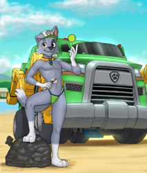 Size: 2300x2700 | Tagged: safe, artist:diacord st, rocky, canid, dog, mammal, mutt, boy, male, slender, solo boy, solo male, solo teen, teen, twink, young, paw patrol, alternate version, boots, bulge, clothing, shoes, skimpy outfit, solo, speedo, swimsuit, tennis ball, trash bag