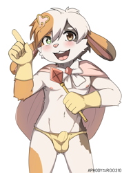 Size: 2150x3035 | Tagged: suggestive, artist:aphody, lagomorph, mammal, rabbit, boy, cub, male, solo boy, solo cub, solo male, young, balls, belly, bulge, cape, detailed bulge, gloves, kemono, kemoshota, magical boy, navel, nipples, solo
