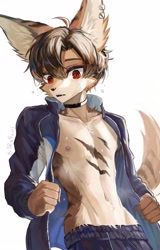 Size: 2360x3681 | Tagged: safe, artist:shironoa, oc only, ambiguous species, mammal, anthro, boy, cub, femboy, male, slender, solo boy, solo male, solo teen, teen, twink, young, belly, clothing, collar, ear piercing, earring, fingers, fur, hair, jacket, kemono, kemoshota, navel, nipples, open clothing, open jacket, open shirt, piercing, red eyes, solo, sweat, topless, underwear, undressing, undressing self, v lines