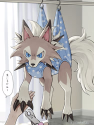 Size: 1238x1650 | Tagged: safe, artist:kaminokefusa, generation 7 pokemon, human, lycanroc, mammal, midday lycanroc, pokemon (species), ambiguous gender, feral, young, pokémon, photo background, blue eyes, bondage, clipping nails, dialogue, fur, gray fur, japanese text, kemono, nail clipper, suspended, tail, toe claws, white fur