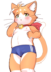 Size: 500x706 | Tagged: suggestive, artist:1boshi, charlotte, cat, felid, mammal, anthro, boy, cub, male, solo boy, solo cub, solo male, young, anothereidos of dragon vein r, blushing, bulge, clothing, fur, kemono, kemoshota, nipples, orange fur, solo, swimwear
