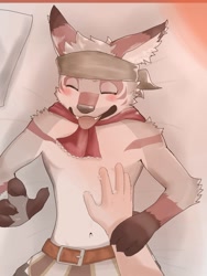 Size: 1200x1600 | Tagged: safe, artist:hiironomo, amorey, canid, fennec, fox, human, mammal, anthro, anthro/human, boy, boy focus, male, teen, teen focus, young, anothereidos of dragon vein r, digital, 4 fingers, 5 fingers, bandanna, blushing, claws, duo, eyes closed, fang, featureless chest, fingers, fur, gray fur, humanoid hands, kemono, kerchief, lying, navel, on back, on bed, pov, scarf, solo focus, teeth, tongue, tongue out, top pov, young focus