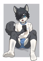 Size: 1443x2048 | Tagged: suggestive, artist:guran, canid, mammal, anthro, boy, cub, male, plantigrade, solo boy, solo cub, solo male, young, black fur, blue eyes, blushing, briefs, clothing, detailed bulge, embarrassed, fur, kemono, kemoshota, looking at you, open mouth, selfie, socks, socks without shoes, solo, tail, underwear, white fur