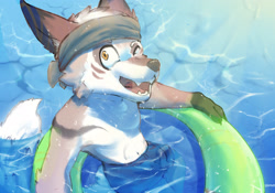 Size: 2388x1668 | Tagged: safe, artist:stampmats, amorey, canid, fennec, fox, kobold, mammal, anthro, boy, male, slender, solo boy, solo male, solo teen, teen, twink, young, anothereidos of dragon vein r, clothing, fang, featureless chest, inflatable, inner tube, navel, pool float, smiling, solo, swim trunks, swimming pool, swimwear, teeth, winking
