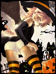 Size: 750x1000 | Tagged: safe, artist:7key, canid, dog, mammal, anthro, boy, cub, femboy, male, solo boy, solo cub, solo male, young, halloween, holiday, alternate version, blushing, bulge, clothing, costume, crossdressing, hat, kemono, kemoshota, skirt, solo, stockings, tail, underwear, witch costume, witch hat