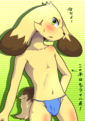 Size: 700x1000 | Tagged: suggestive, artist:shinobidx, canid, dog, mammal, anthro, boy, cub, male, slender, solo boy, solo cub, solo male, young, belly, brown fur, clothing, featureless chest, floppy ears, fundoshi, fur, green eyes, kemono, kemoshota, looking at you, solo, topless, yellow fur