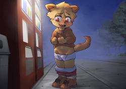 Size: 1684x1191 | Tagged: suggestive, artist:managunetto, canid, dog, mammal, anthro, boy, cub, male, solo boy, solo cub, solo male, young, belly, briefs, bulge, clothing, hoodie, kemono, kemoshota, navel, outdoors, solo, underwear, v lines