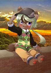 Size: 700x1000 | Tagged: safe, artist:shinobidx, canid, mammal, anthro, boy, cub, male, plantigrade, solo boy, solo cub, solo male, young, blushing, brown fur, clothing, dipstick tail, fur, hair, hat, kemono, kemoshota, looking at you, outdoors, pawpads, paws, solo, sunset, tail, vest