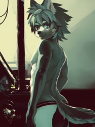 Size: 2488x3320 | Tagged: safe, artist:7key, canid, mammal, anthro, boy, cub, male, slender, solo boy, solo cub, solo male, solo teen, teen, twink, young, ai enhanced, clothing, kemono, kemoshota, looking at you, nipples, solo, topless, underwear