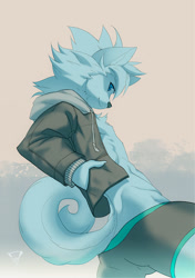 Size: 1040x1477 | Tagged: safe, artist:7key, canid, mammal, anthro, boy, cub, male, solo boy, solo male, solo teen, teen, young, blue eyes, blue fur, blue hair, boxer-briefs, clothing, fur, hair, hoodie, jacket, kemono, kemoshota, open hoodie, open jacket, solo, spats, standing, underwear