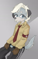 Size: 1324x2048 | Tagged: safe, artist:futatsuchi, britz strudel, canid, caninu, doberman, dog, mammal, pinscher, anthro, boy, cub, male, solo boy, solo cub, solo male, young, fuga: melodies of steel, little tail bronx, clothing, fur, gray fur, hair, kemono, kemoshota, military uniform, necktie, solo, uniform